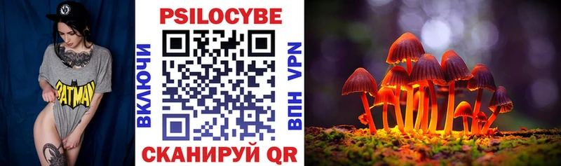 Псилоцибиновые грибы Magic Shrooms  ссылка на мегу ONION  Орехово-Зуево 